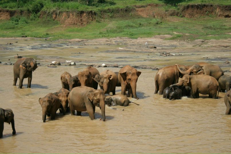 Танюша Бирюкова | Киев