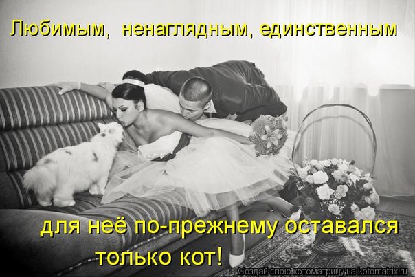 №5, Даша-Даськин Мархель №5, Даша-Даськин Мархель