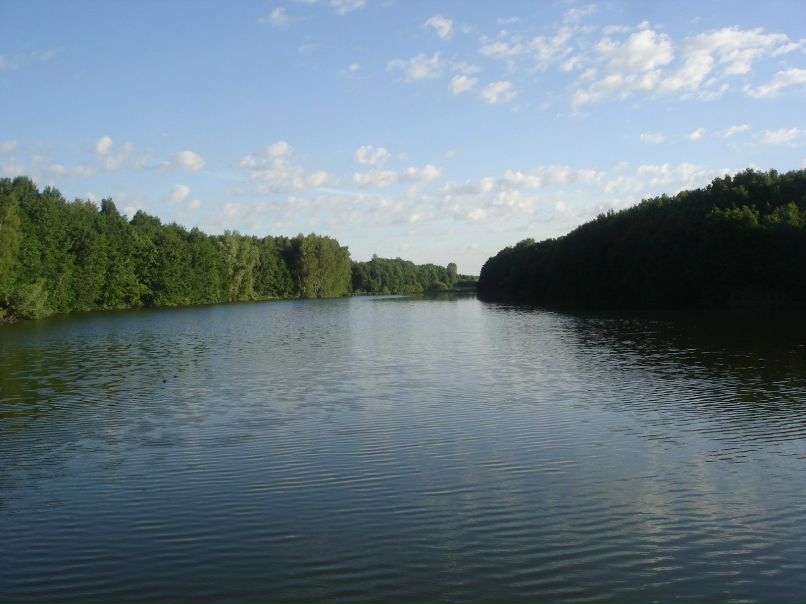 Ольга Белкина | Харьков