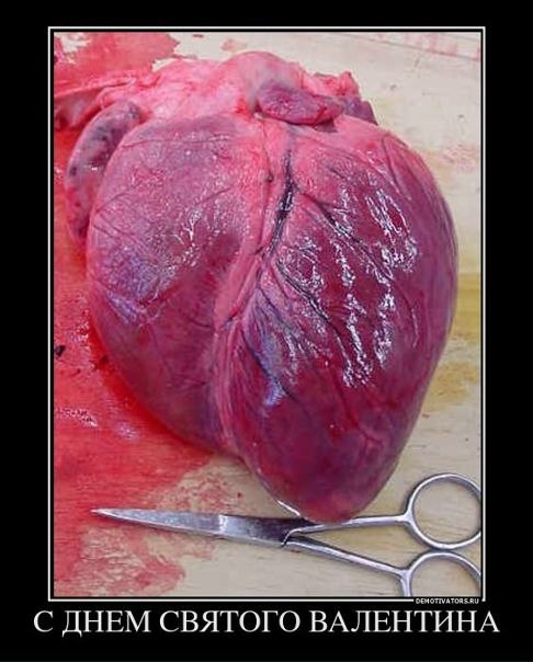 №7, Deusex Красникофф, 82 года, Николаев №7, Deusex Красникофф, 82 года, Николаев