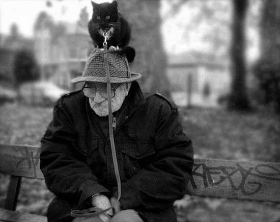 Иван Шкодников | Тольятти