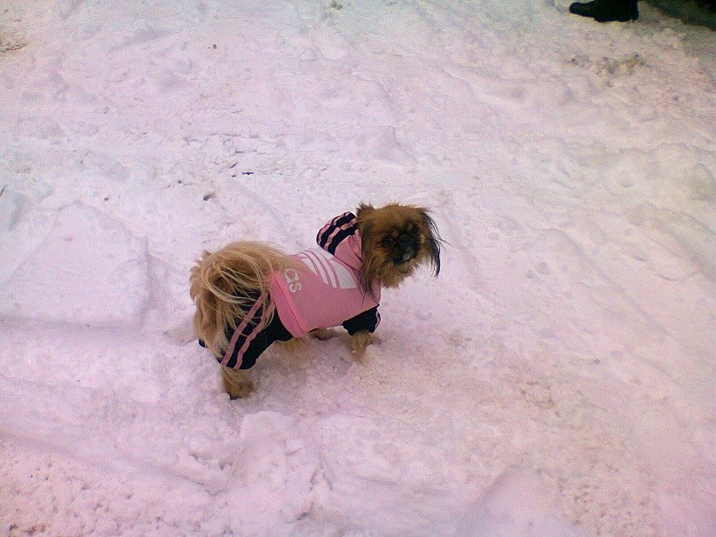 Мар'яна Гусєва | Тернополь