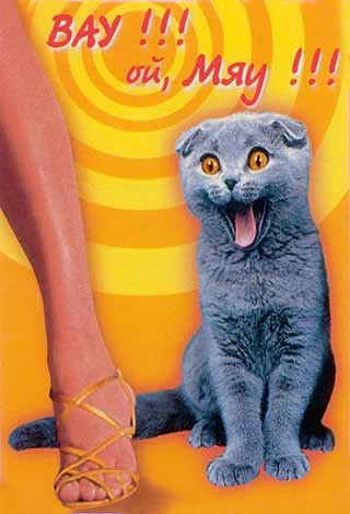 Женя Маденов | Сумы