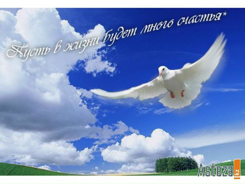 №23, Алена Мироняк, Санкт-Петербург, Россия №23, Алена Мироняк, Санкт-Петербург, Россия