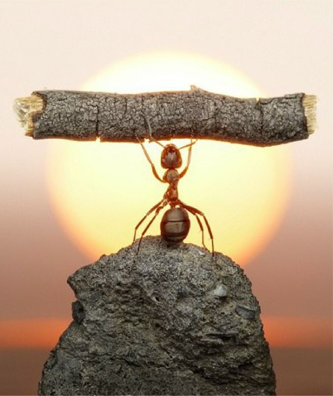 Konstantin Unasleepcat | 