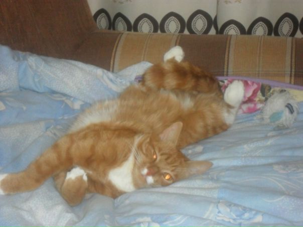 №98, Диана Тимофеева, Новошахтинск №98, Диана Тимофеева, Новошахтинск