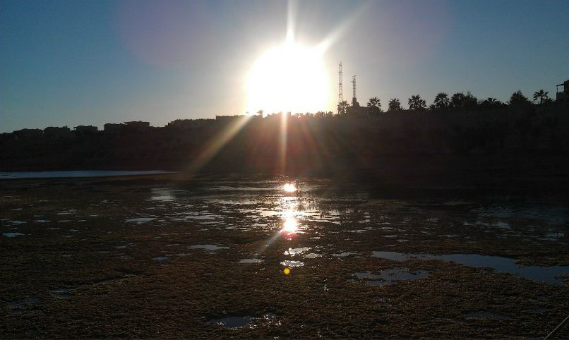 Максим Бороненко | Краснознаменск