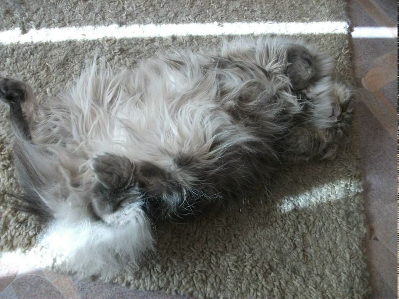 Светлана Сычёва | Междуреченск