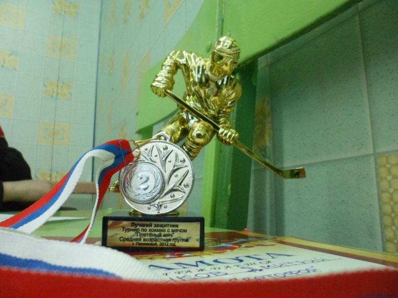 Дмитрий Плотников | Полевской