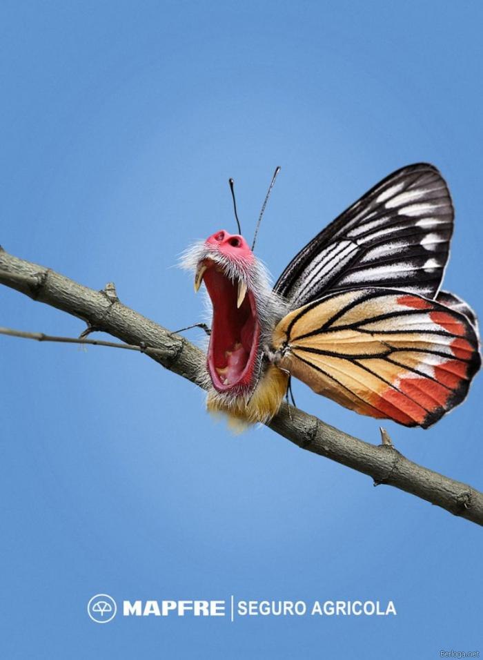 Anirisun Schmidt ♥ Чeℒℴѵeвечек ♥ | Киев