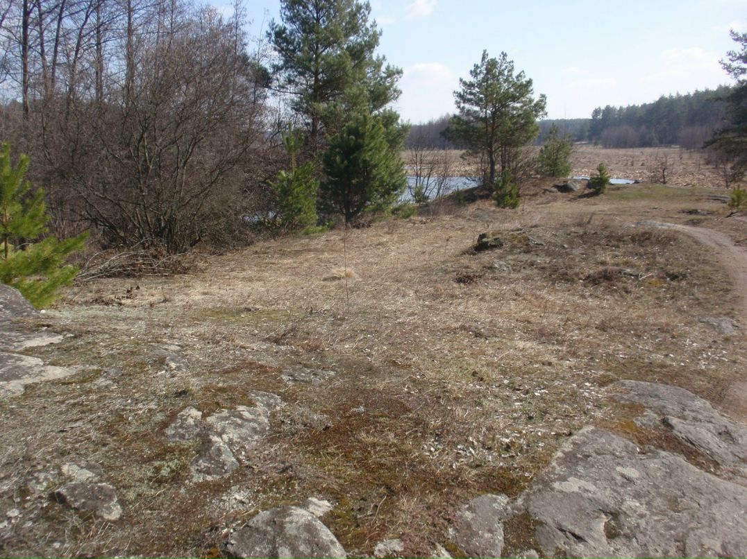 Борис Блаженний | Киев