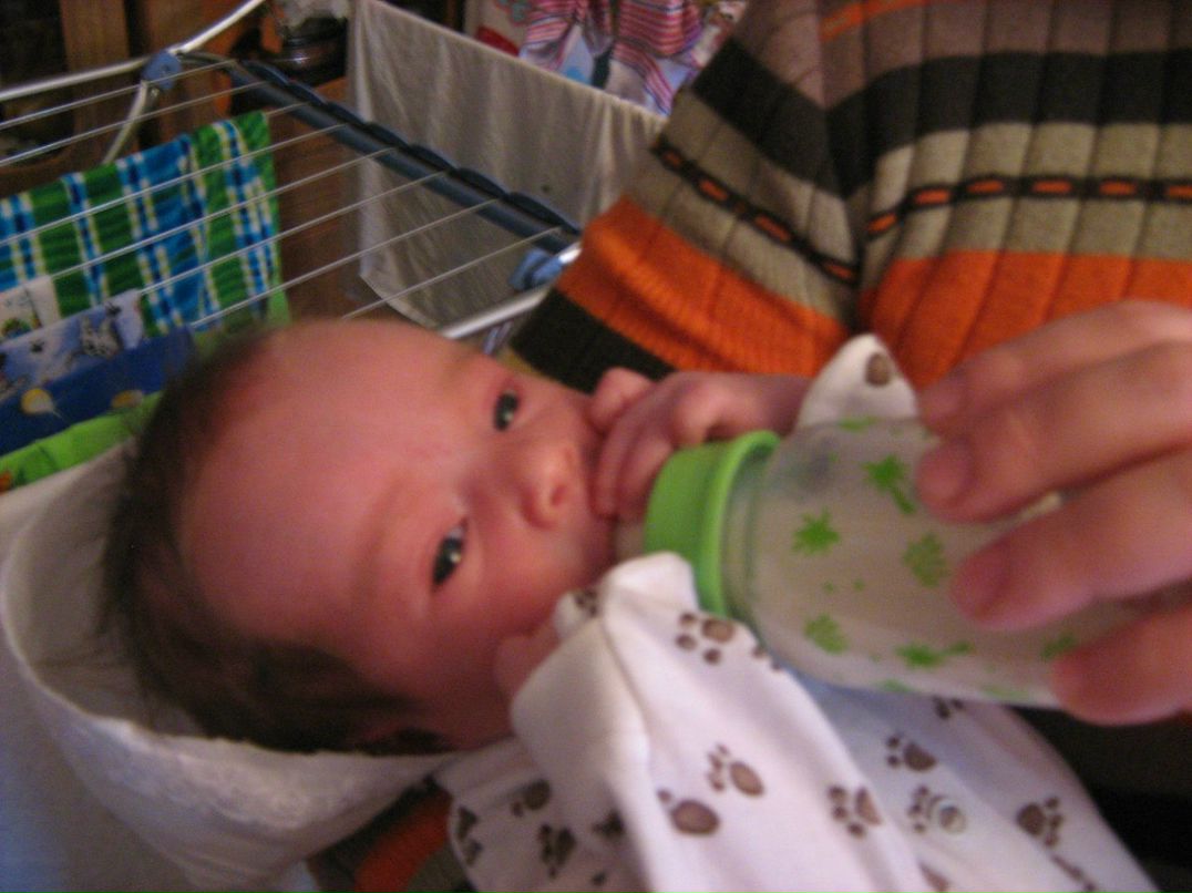 Юлия Кузнецова | Каменск-Уральский