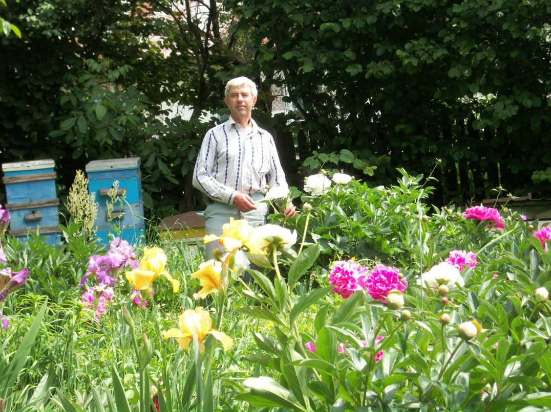 Николай Красножон | Чернигов