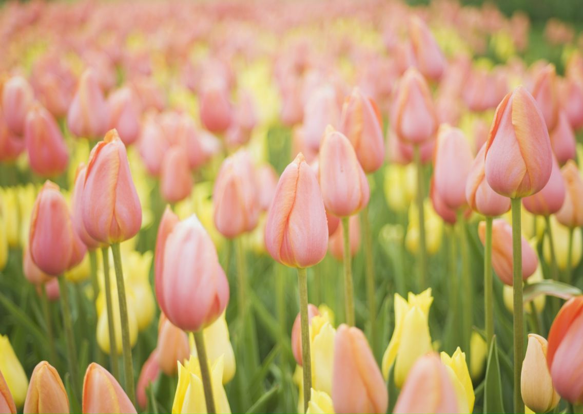 Ксения Матвеева КСЮ | Ярославль