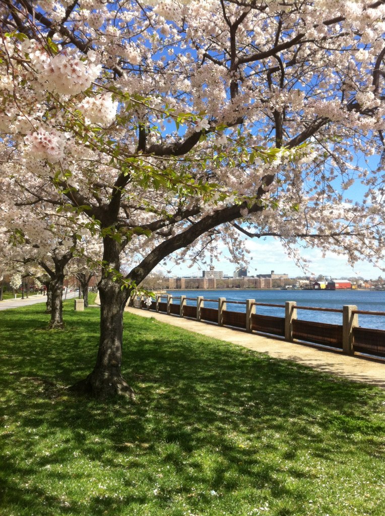 Таня Милованова-Губанова | Киев