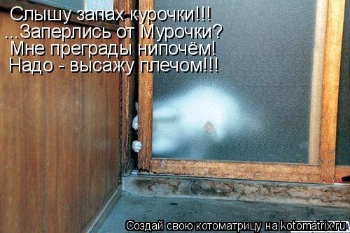 Алина Хуснутдинова | Санкт-Петербург