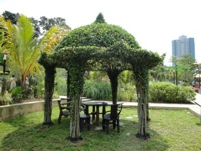 Венера Гаянова | Уфа