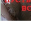 №11, Сергей Дытына, 41 год, Киев №11, Сергей Дытына, 41 год, Киев