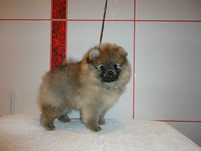 Елена Прохоренкова | Москва