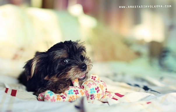 №7, Анастасия Абрамова, Москва №7, Анастасия Абрамова, Москва