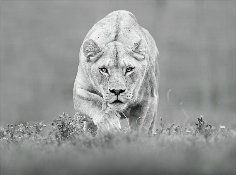 Николай Навасардян | Москва