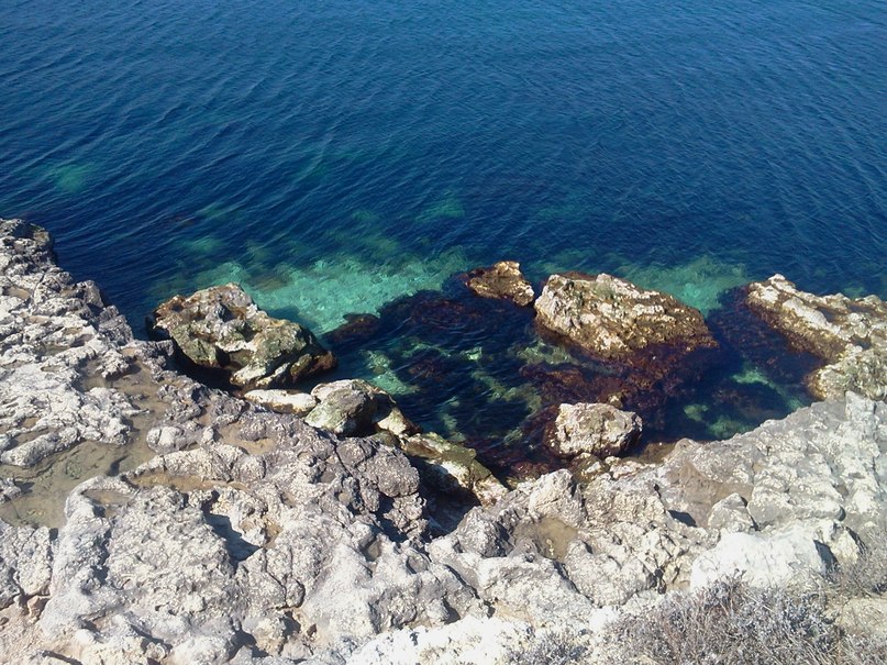 Дарья Терещенко | Севастополь