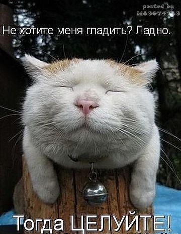 Вера Гришина | Москва