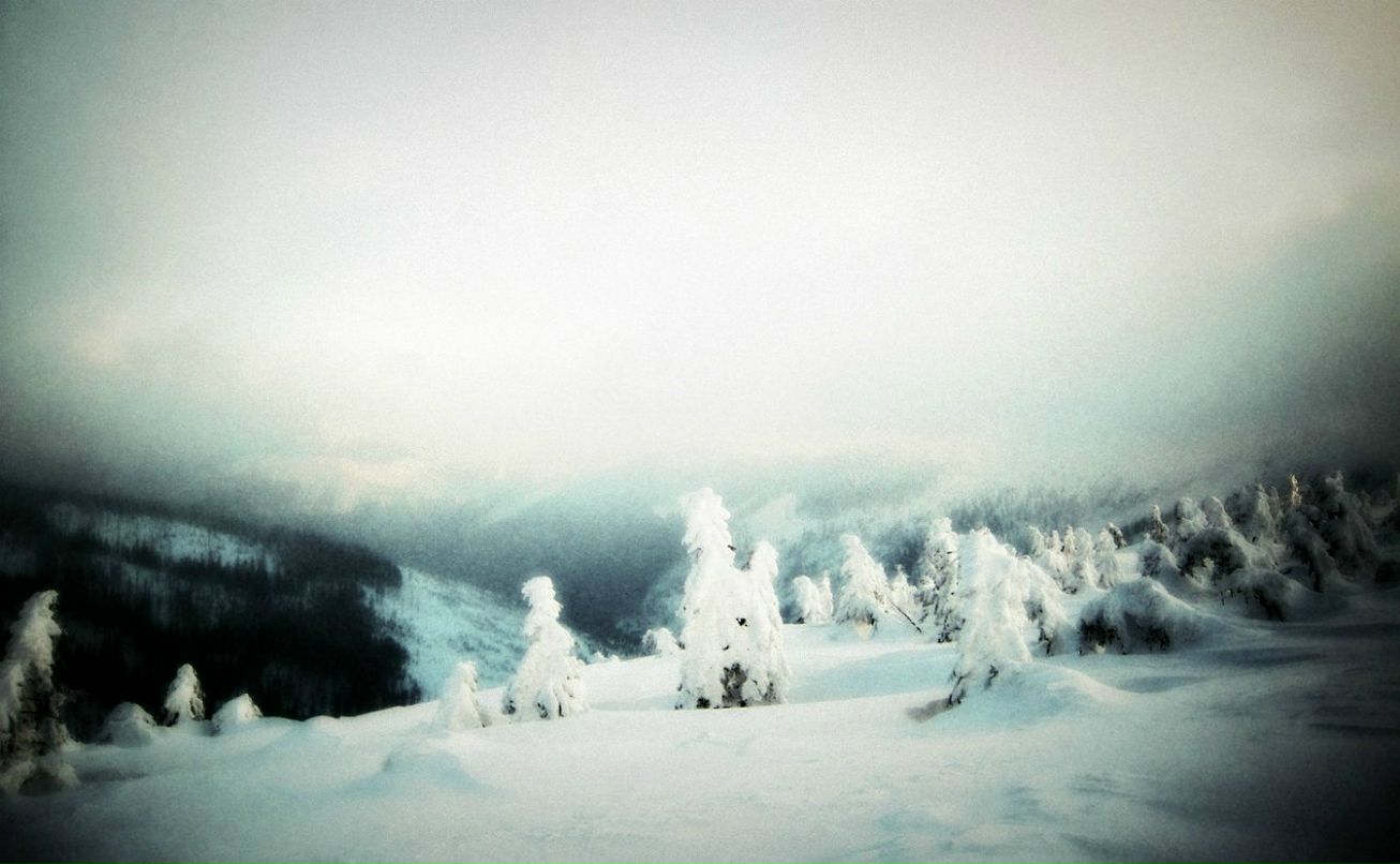 Надежда Вячеславовна | Praha