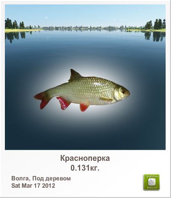 Андрій Чечель | Ивано-Франковск