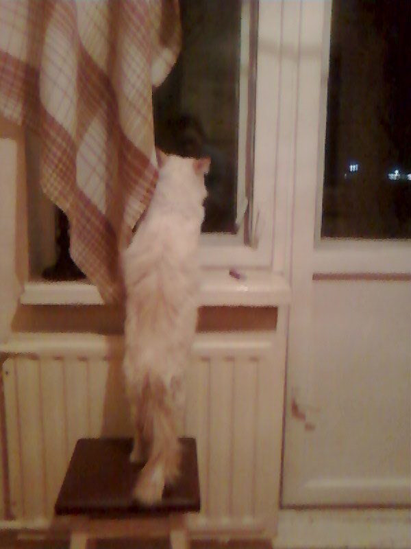 Катерина Чуваева | Великие Луки