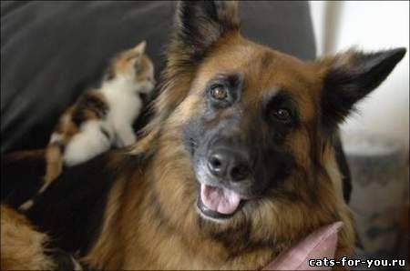 №118, Дмитрий Мороз, 28 лет, Киев №118, Дмитрий Мороз, 28 лет, Киев