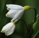 №104, Leina Mozola, 34 года, Городок №104, Leina Mozola, 34 года, Городок