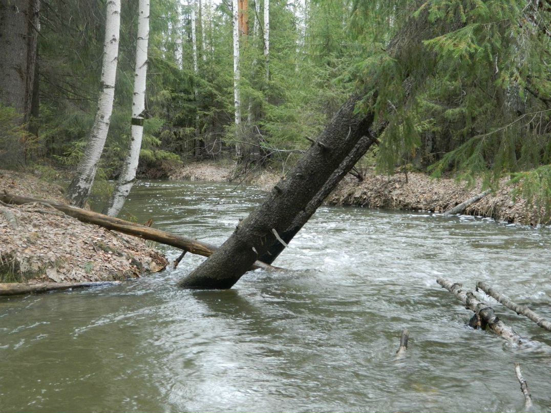 Александр Баринов | Ревда
