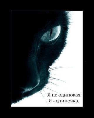 №187, Настёна Хамраева, 35 лет, Ялта №187, Настёна Хамраева, 35 лет, Ялта