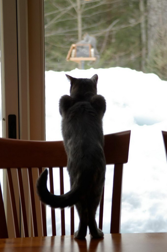 Александр Парфёнов | Санкт-Петербург