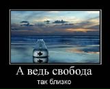 №4 Алина Тверитинова 03.11: профиль, фото, статус - ВКонтакте