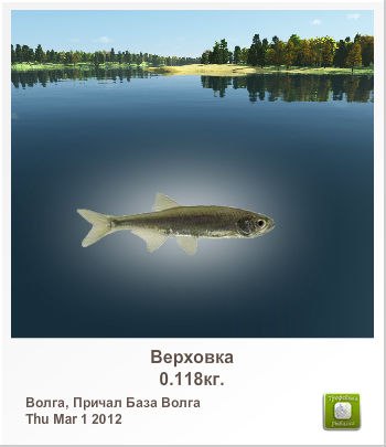 Сергей Игнатов | Астрахань