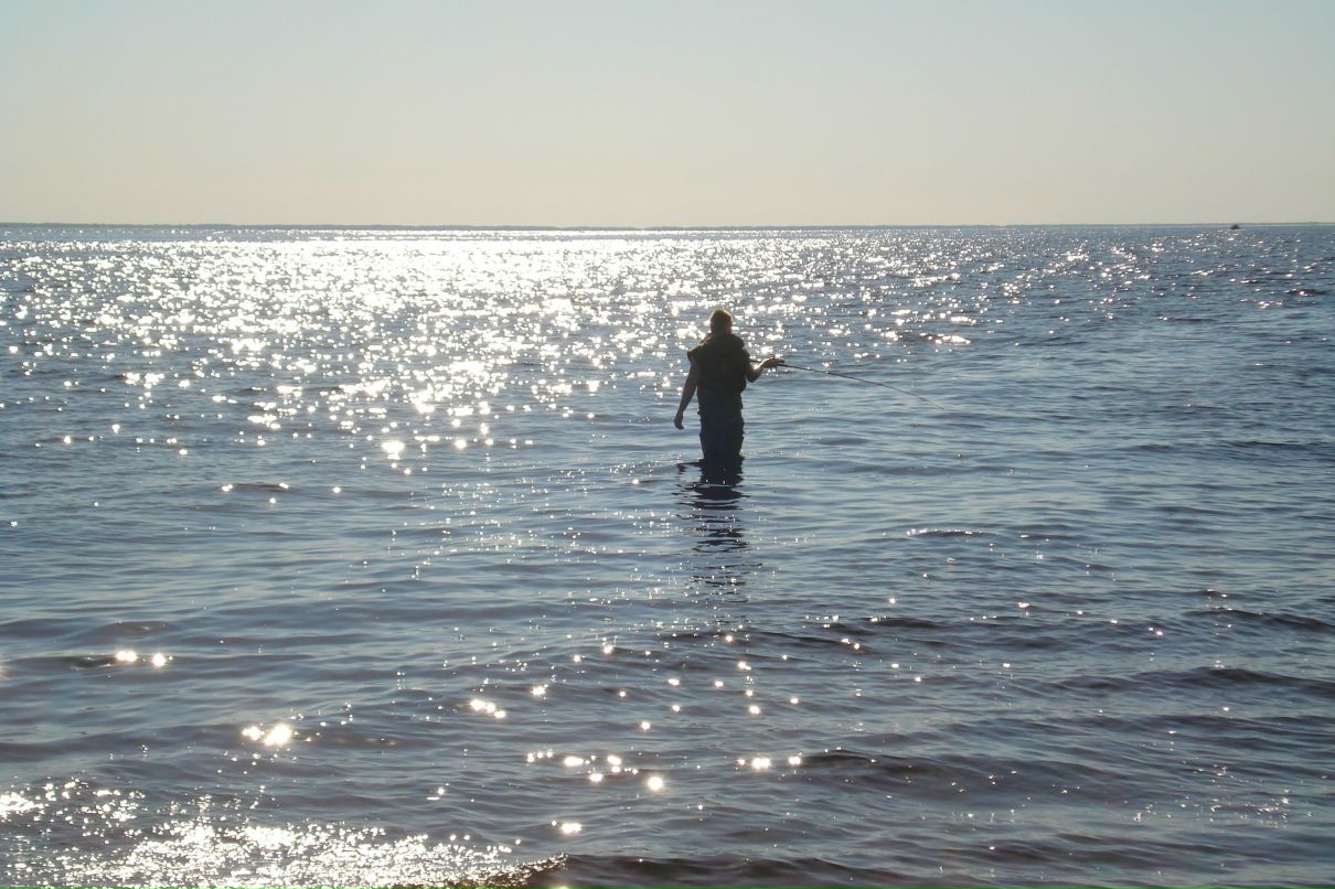 Андрей Артюхов <artxaos> | Сясьстрой