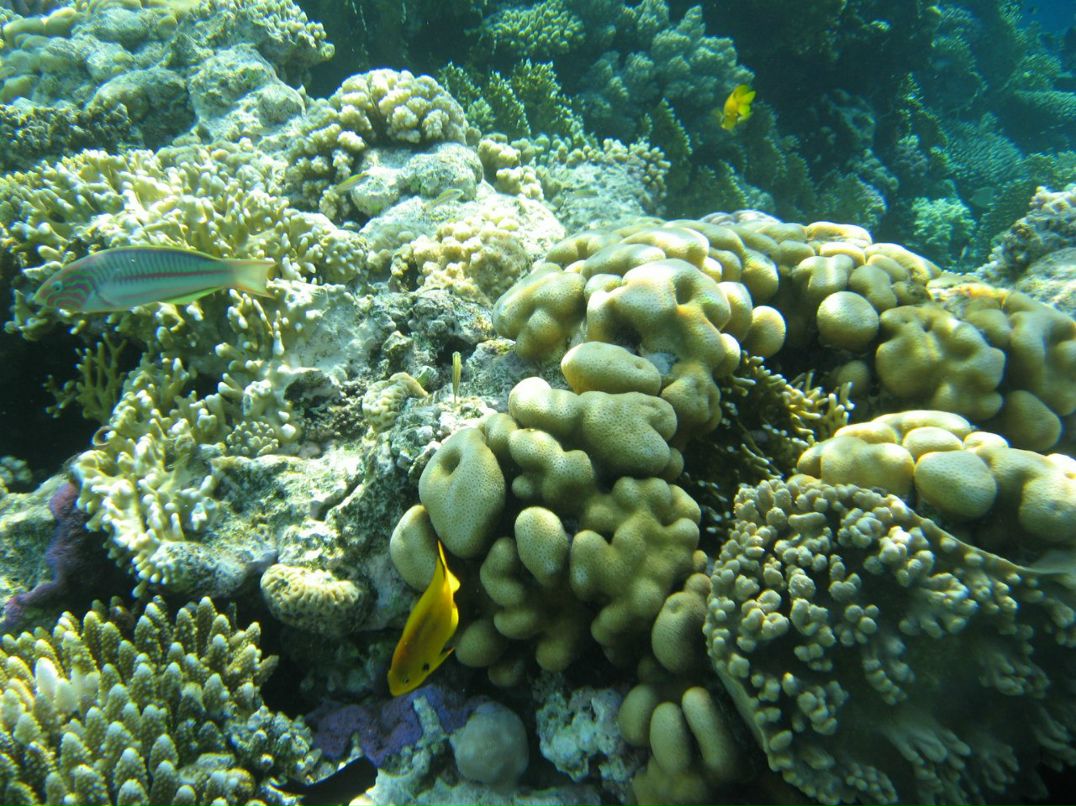 Надежда Кропачева | Киров