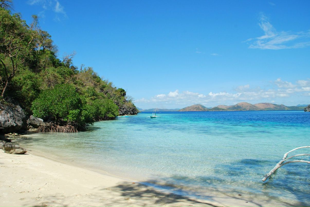 Александра Протопопова | Киев