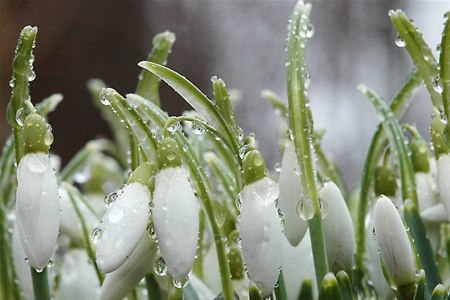 Клавдия Иванова | Кропивницкий / Кировоград