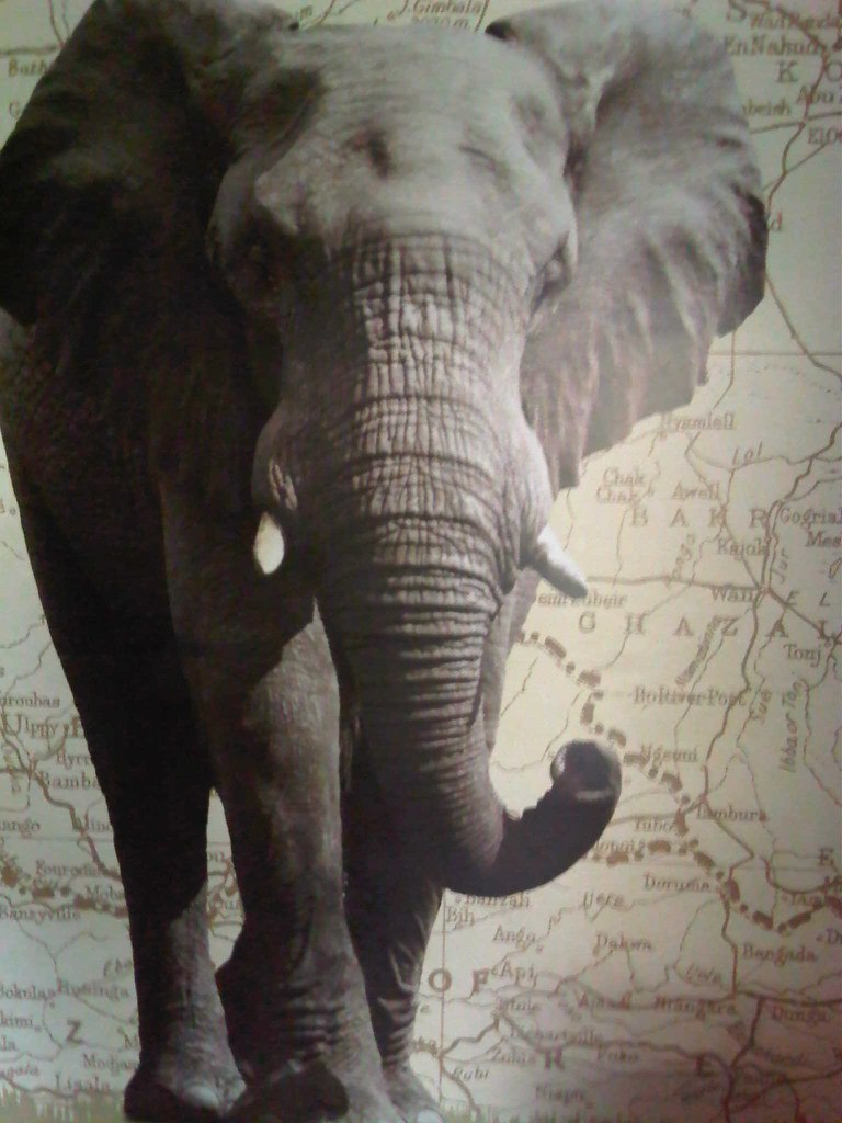 Станислав Смирнов | Limassol