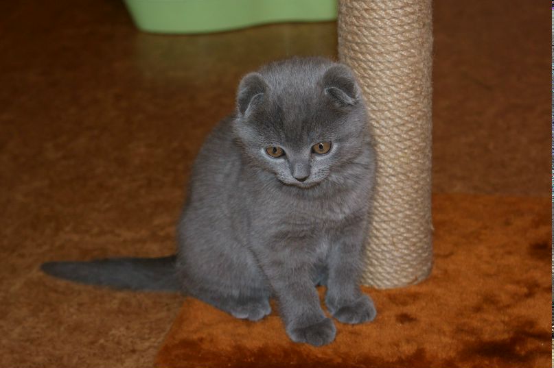 Светлана Масягина | Сосновый Бор