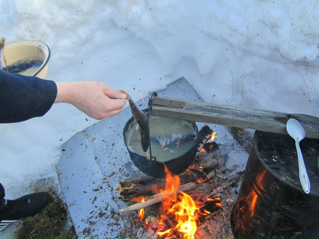 Вадимус Чаусов | Лоухи