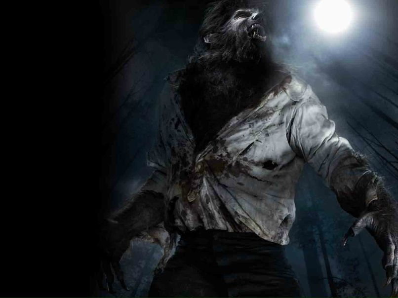 Андрей Цырцаки | Одесса