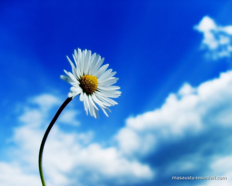 Максим Савин ~FaSt~ | Малмыж