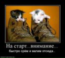 №5 Алеся Мурашова : профиль, фото, статус - ВКонтакте
