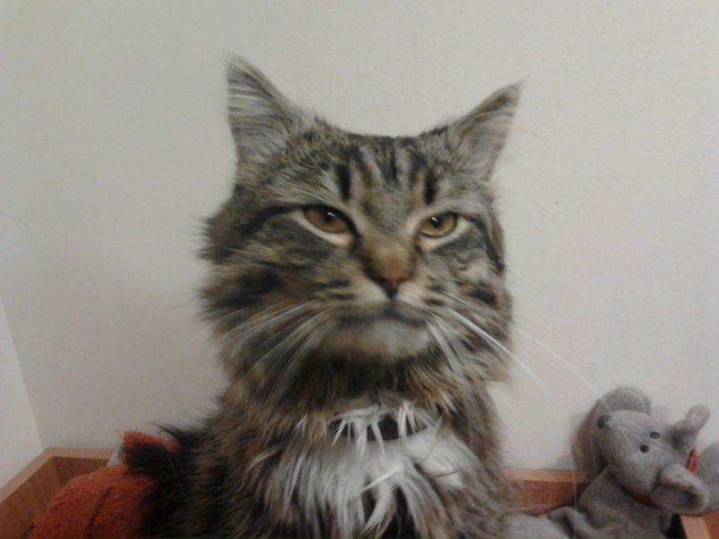 Алексей Алексеев | Днепр (Днепропетровск)