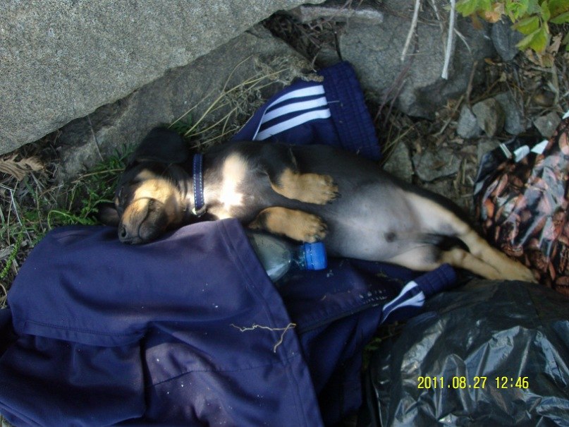 Настюшка Золотаренко | Светловодск