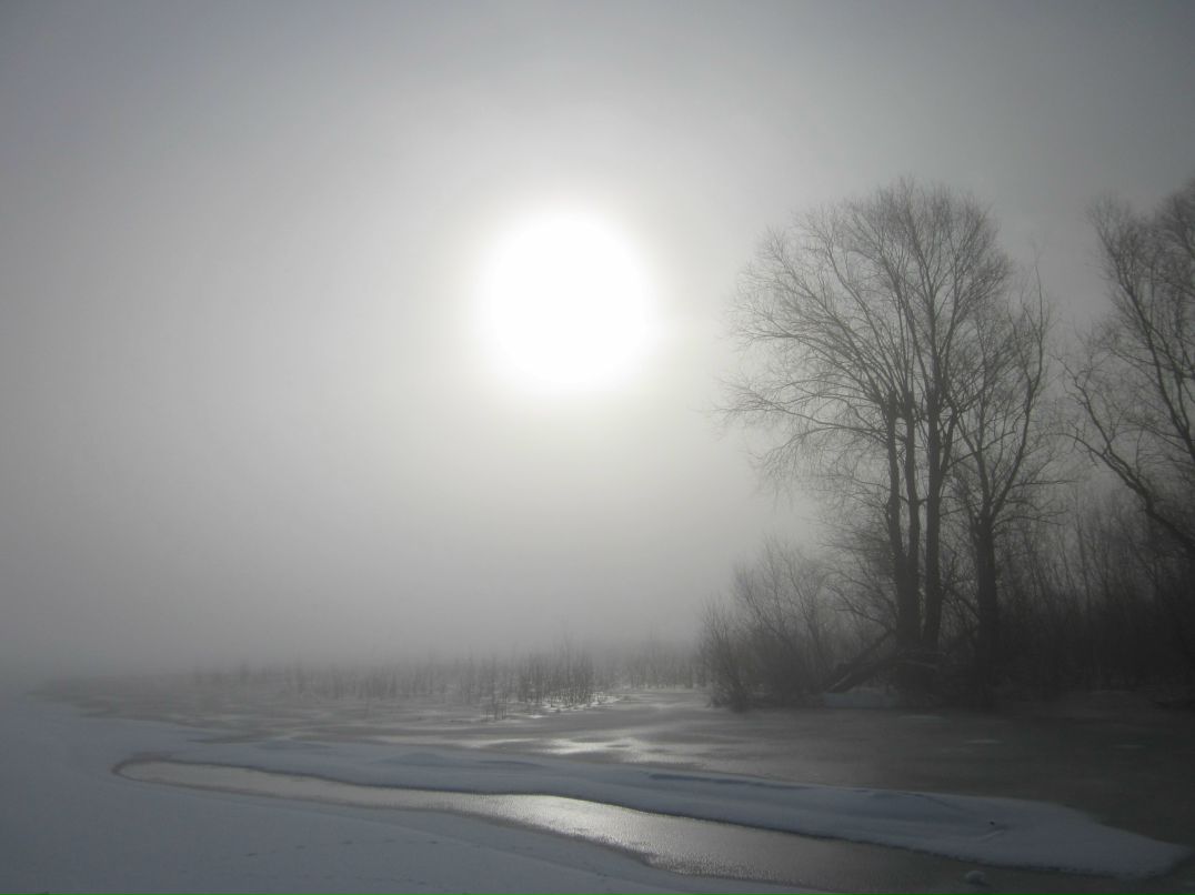 Евгений Коротков | Чехов